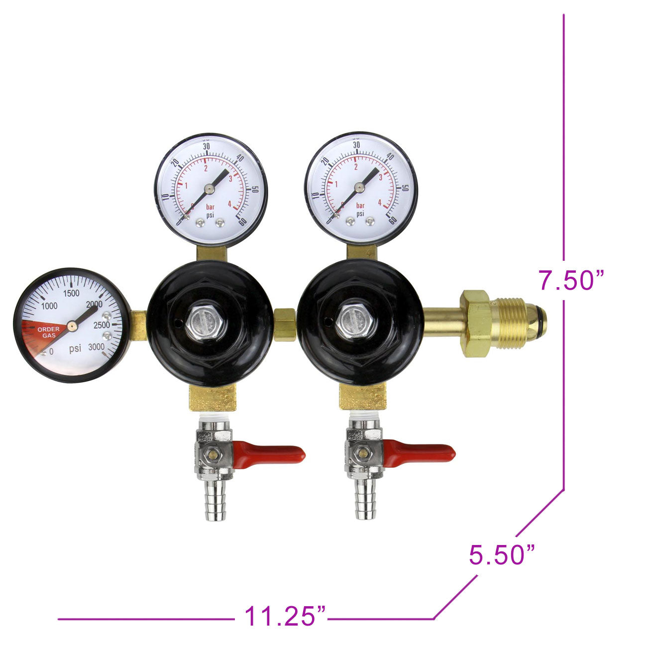 Double Body Nitrogen Beer Regulator with 5/16"B Shutoffs